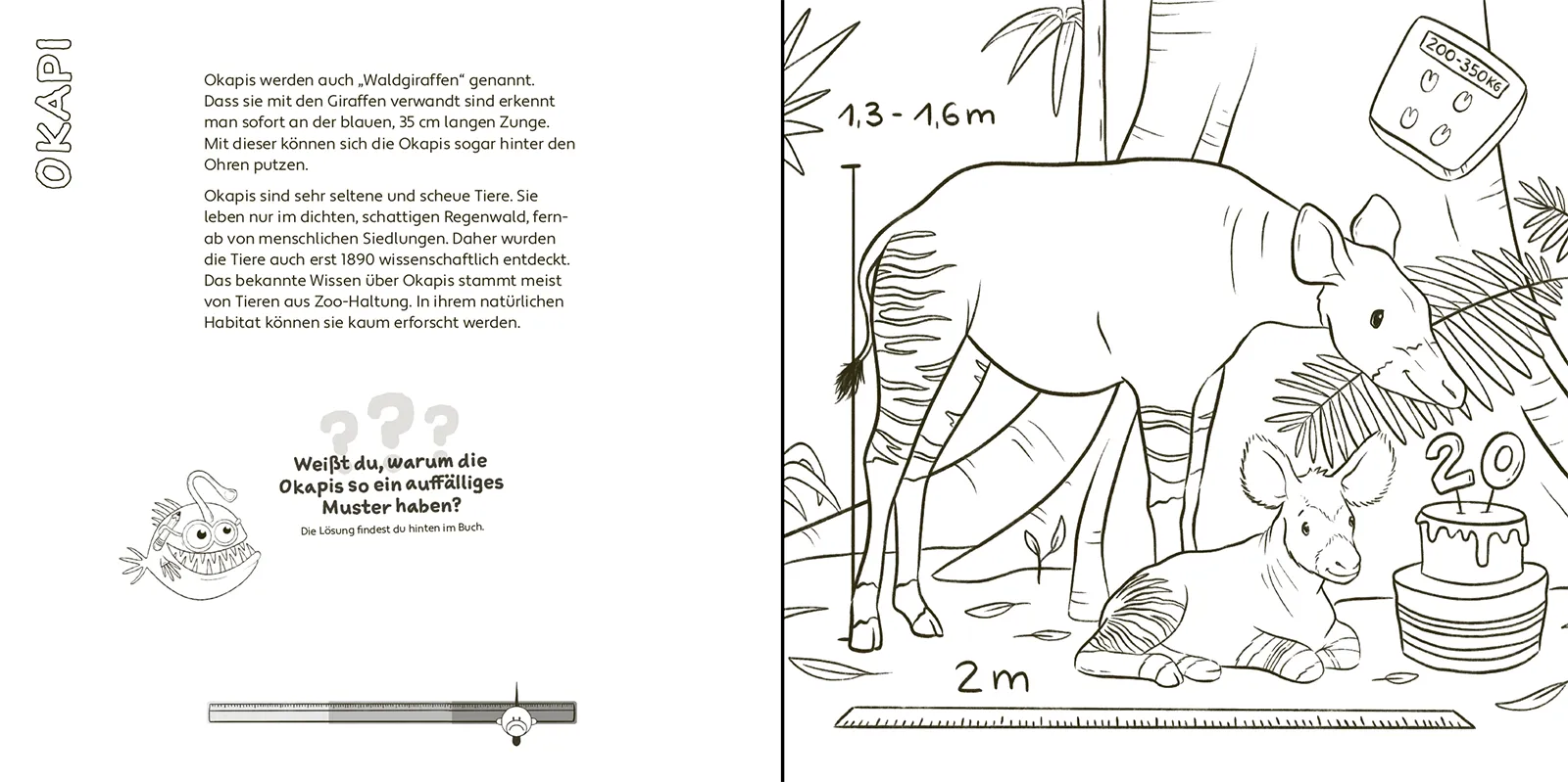 Mal- und Rätselbuch "Zoo-Tiere" 4 Mal- und Rätselbuch "Zoo-Tiere" – Bild 4