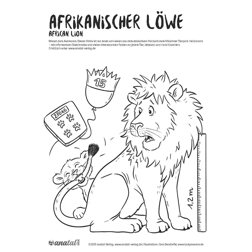anatal Verlag Kostenlose Malvorlage Afrikanischer Loewe Tierpark Hellabrunn anatal Verlag - anatal Verlag Kostenlose Malvorlage Afrikanischer Loewe Tierpark Hellabrunn