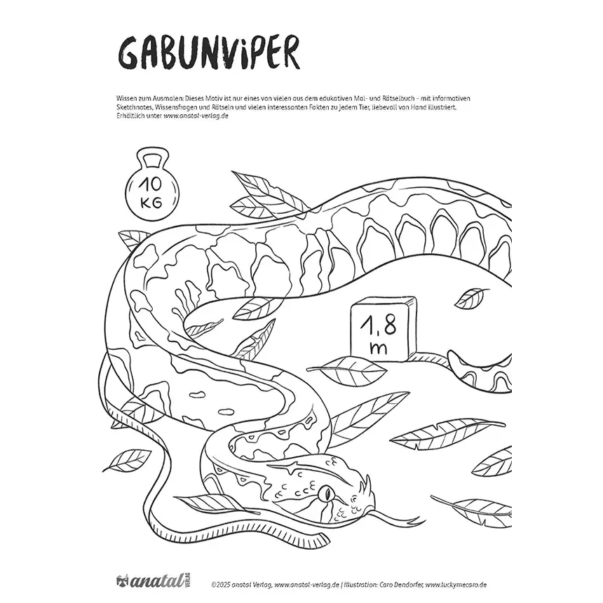 anatal Verlag Kostenlose Malvorlage Gabunviper Mal und Raetselbuch anatal Verlag - anatal Verlag Kostenlose Malvorlage Gabunviper Mal und Raetselbuch