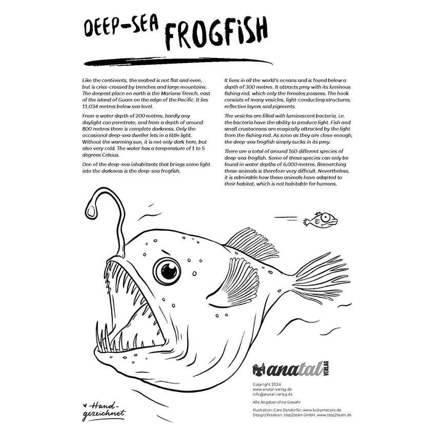 anatal Verlag Malvorlage Tiefseeanglerfisch EN anatal Verlag - anatal Verlag Malvorlage Tiefseeanglerfisch EN